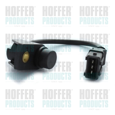Nockenwellen- und Kurbelwellen-Sensor