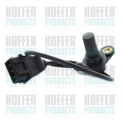 Nockenwellen- und Kurbelwellen-Sensor