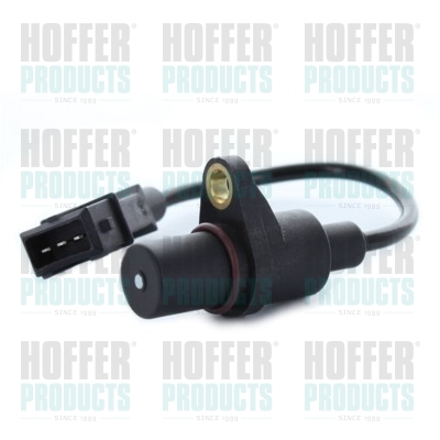 Nockenwellen- und Kurbelwellen-Sensor