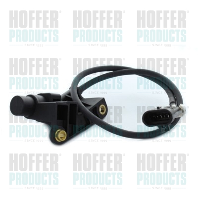 Nockenwellen- und Kurbelwellen-Sensor