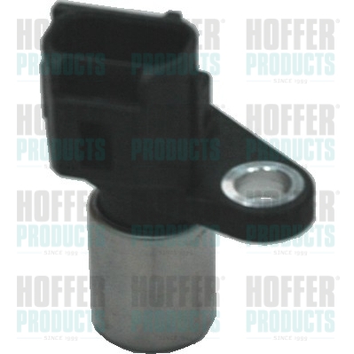 Nockenwellen- und Kurbelwellen-Sensor