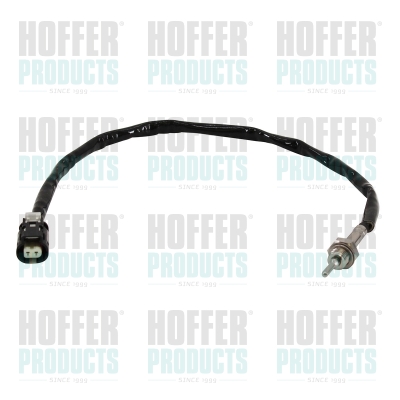 Temperatuursensor gas EGR