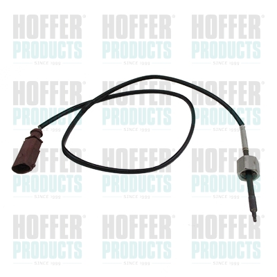 Dieselrußpartikelfilter (DPF) - Temperatursensor