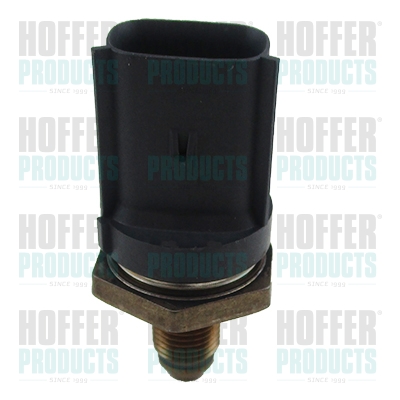 Kraftstoff Hochdrucksensor