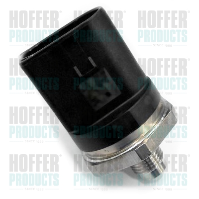 Hoge brandstofdruksensor