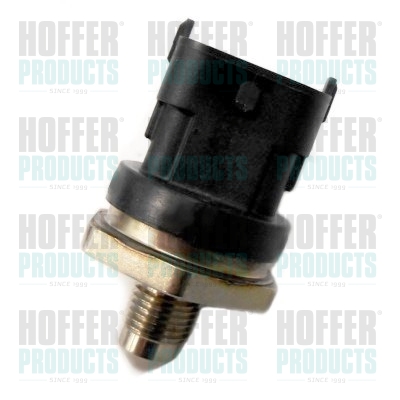 Kraftstoff Hochdrucksensor