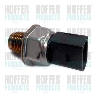 Kraftstoff Hochdrucksensor