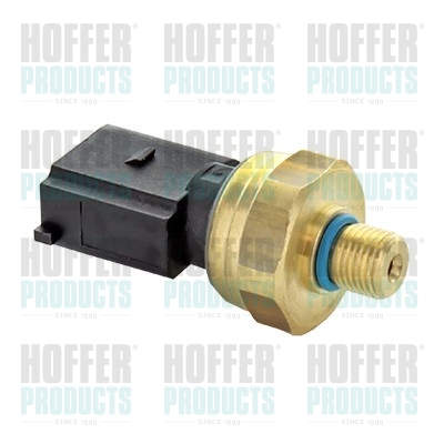 Kraftstoff Hochdrucksensor