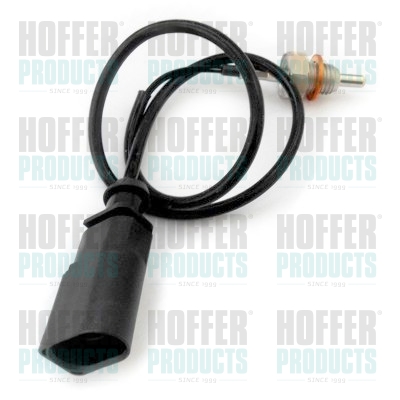 AGR-Ventil Abgas-Temperatursensor