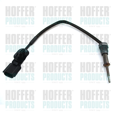 Temperatuursensor gas EGR