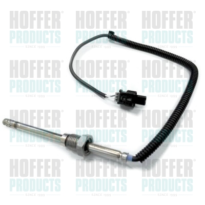 Abgas-Temperatursensor