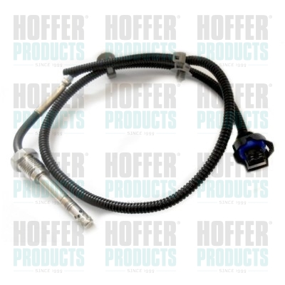 Abgas-Temperatursensor