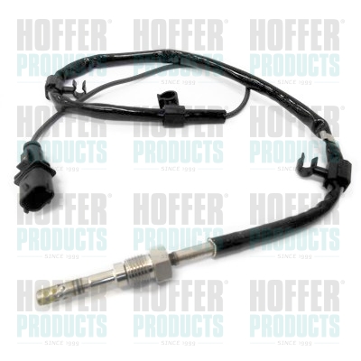 Abgas-Temperatursensor