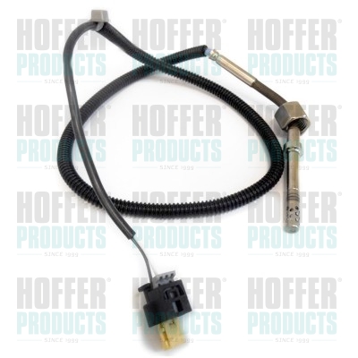 Capteur temp gaz d'échappement 