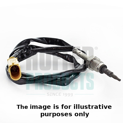 Abgas-Temperatursensor