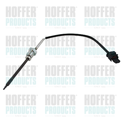 Temperatuursensor uitlaatgas