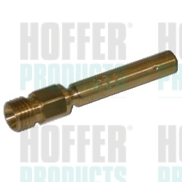 Injector mechanisch