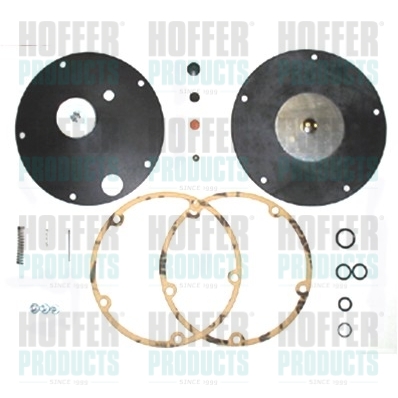 Reparatieset Bedini LPG120E