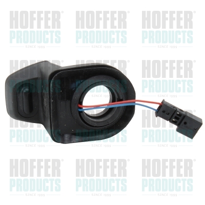 Achterruit sensor