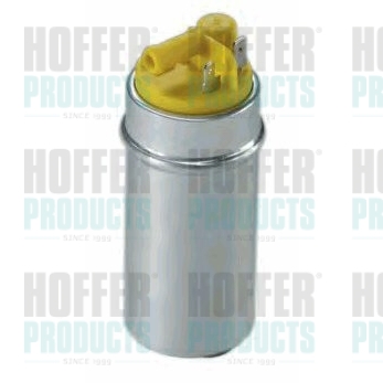 In-Tank-Kraftstoffpumpe
