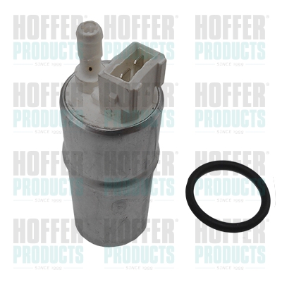 In-Tank-Kraftstoffpumpe