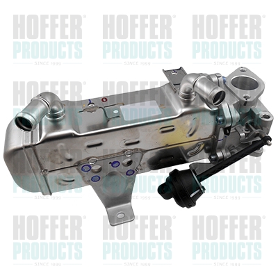 EGR koeler