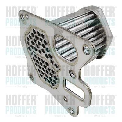 Radiateur vanne EGR 