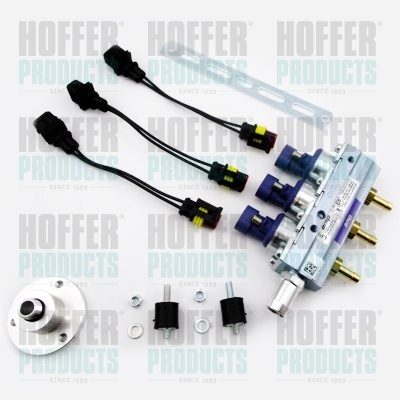 Rail LPG AMP Violet 3cyl.E4