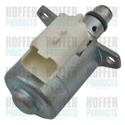 Common Rail Diesel Druckregler