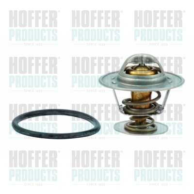 Thermostat 