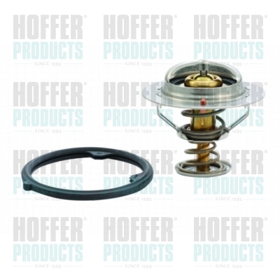 Thermostat 