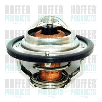 Thermostat 