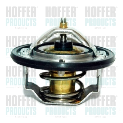 Thermostat 