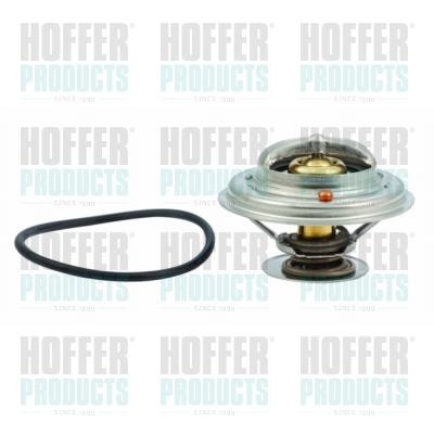 Thermostat 
