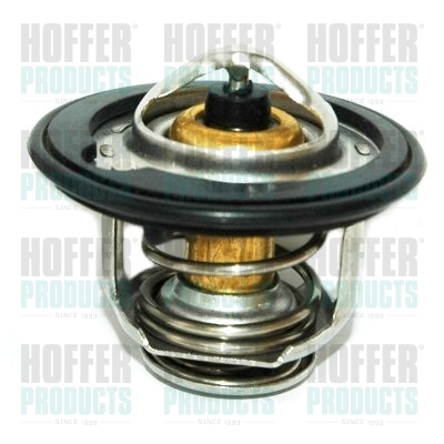 Thermostat 