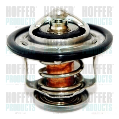 Thermostat 