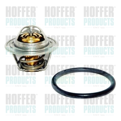 Thermostat 