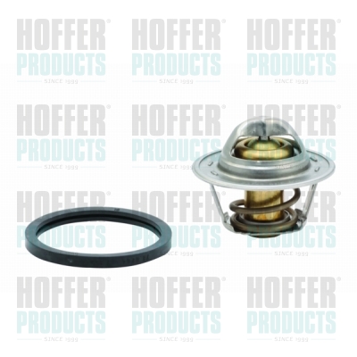 Thermostat 