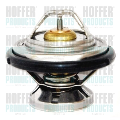 Thermostat 