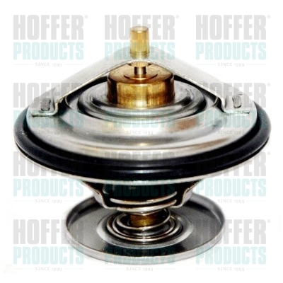 Thermostat 