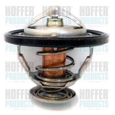 Thermostat 