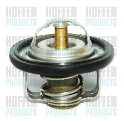 Thermostat 