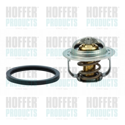 Thermostat 