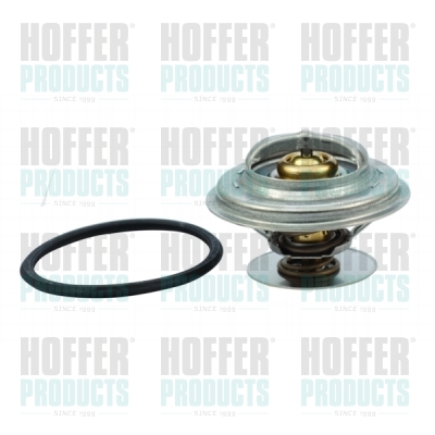Thermostat 