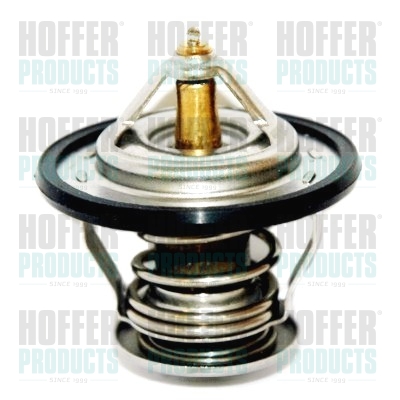 Thermostat 