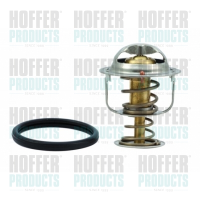 Thermostat 