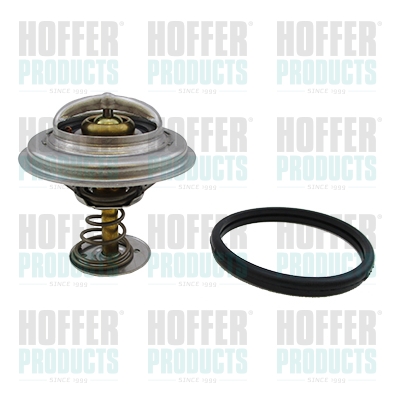 Thermostat 