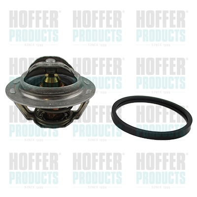 Thermostat 