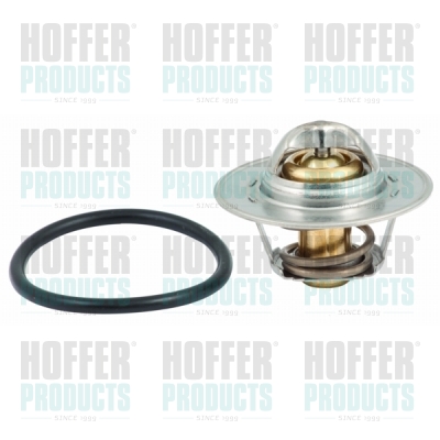 Thermostat 