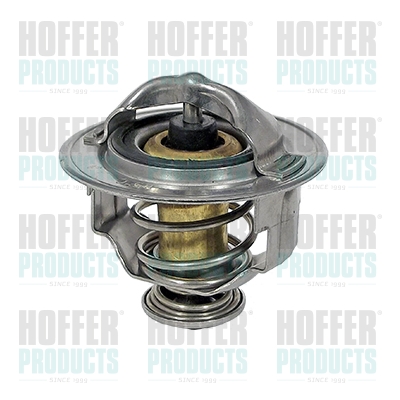 Thermostat 